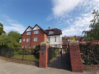 Picture 20